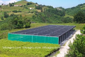 Casas Prefabricadas Venezuela Mitula Casas