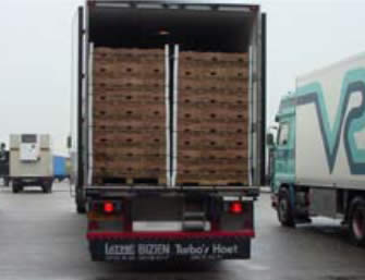 Manual de almacenamiento y transporte de frutas y hortalizas frescas en